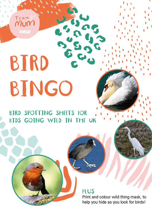 Bird bingo